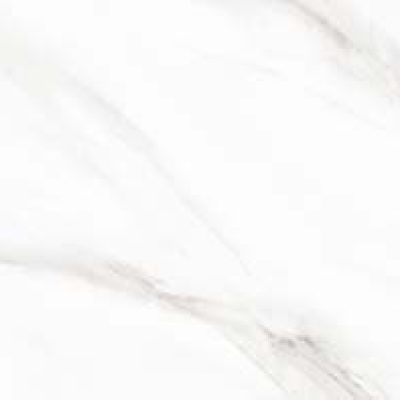 05.300600.03E11 F1_harlow copy