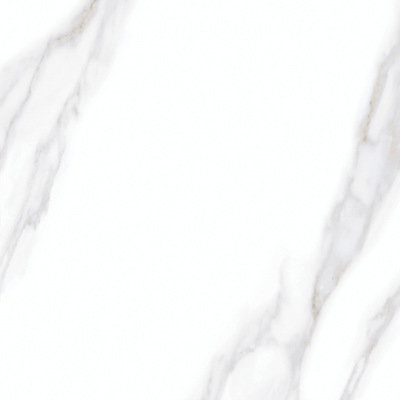 30X60N MSC AMELIA WHITE