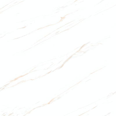 60x60 MSC CALATRAVA BEIGE