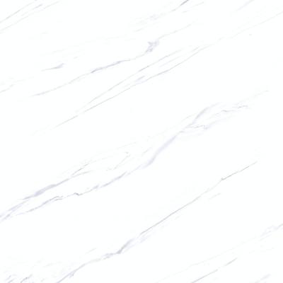 60x60 MSC CALATRAVA GREY