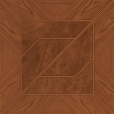 Acacia-247x296