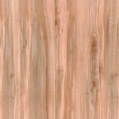 BERKELY_KT-QP669013 copy