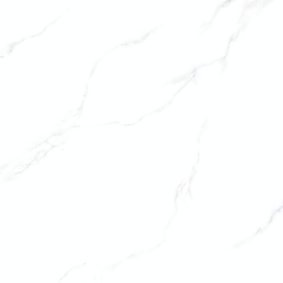 Copy of 40x40N MSC AGOO WHITE