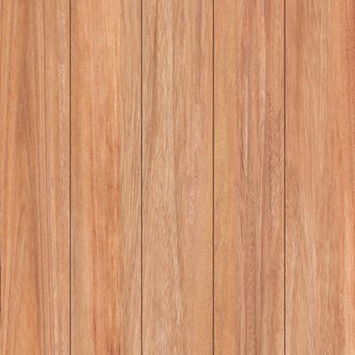 BUZZWOOD_outline