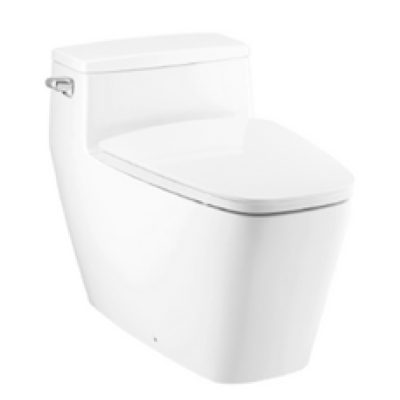 cotto_hercules_curve_4_8L